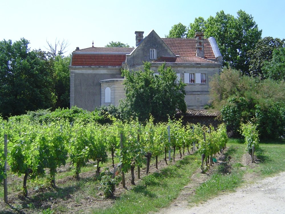 bordeaux2007dsc05785may25chcantenacstemilion.jpg