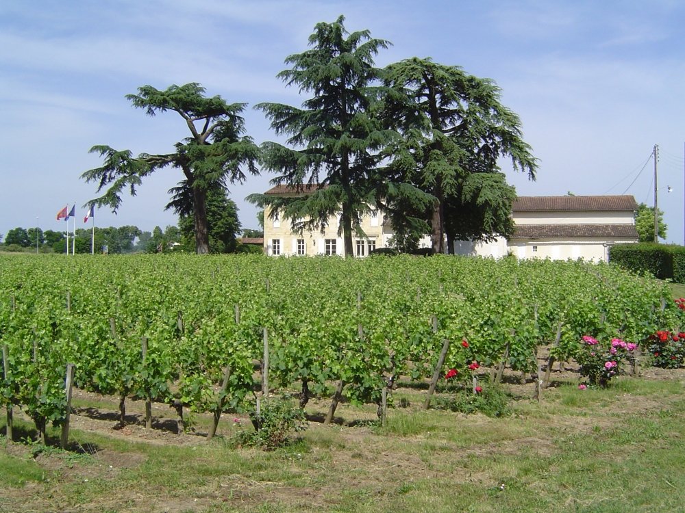 bordeaux2007dsc05786pomerol.jpg