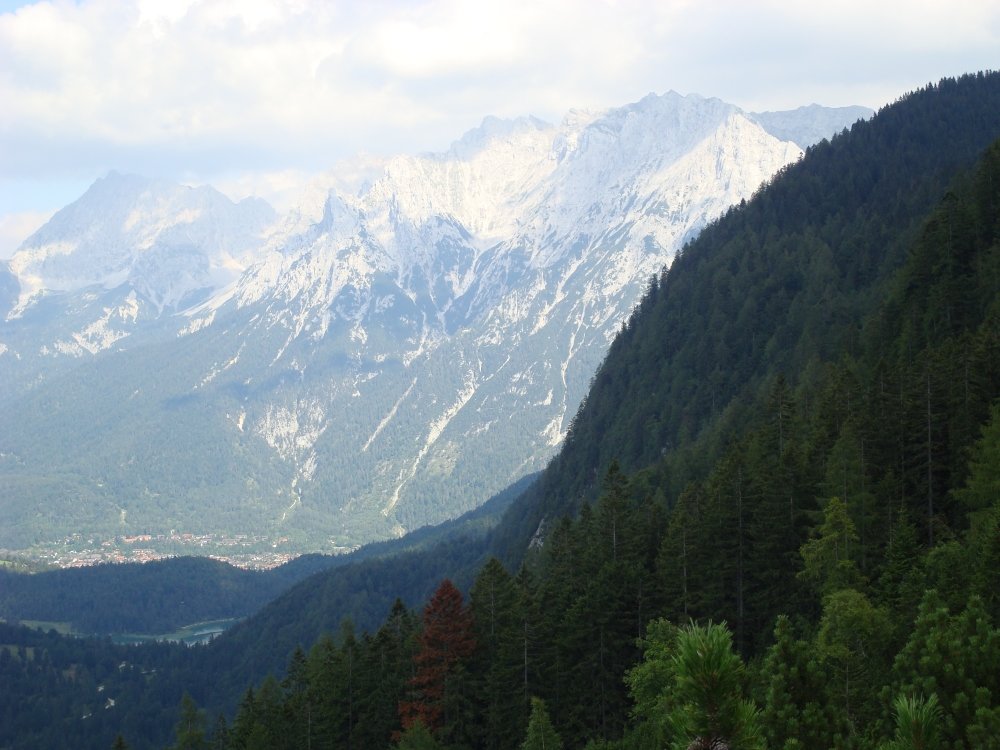 dsc00725grnkopfkarwendel.jpg