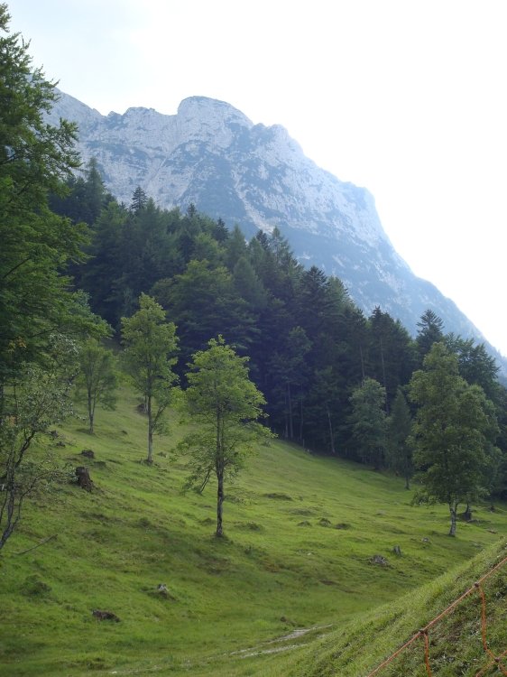 dsc00733gemsangerfromferchensee.jpg