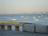 dsc00811_small.jpg