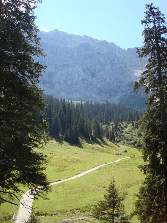 dsc00863wettersteinalm90mins.jpg