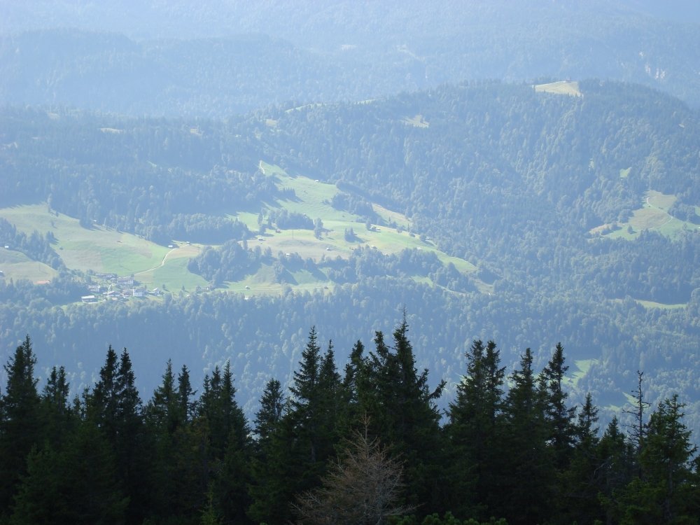 dsc00918eckbauerright1220m.jpg