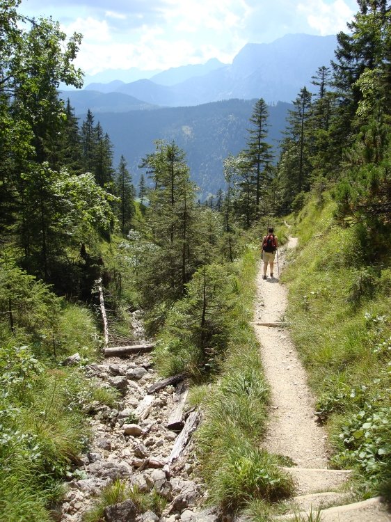 dsc00934gschwandtnerbauerdescent.jpg