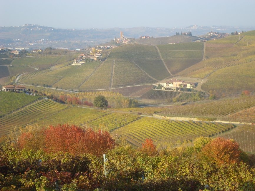 barolo07dsc01927finestbarbarescovines.jpg