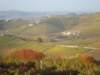 barolo07dsc01927finestbarbarescovines_small.jpg