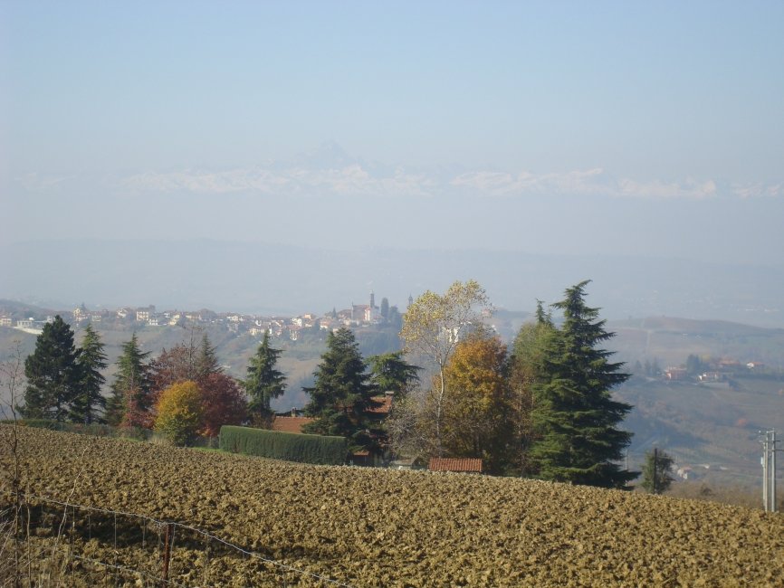 barolo07dsc02017mtvisointhedistance.jpg