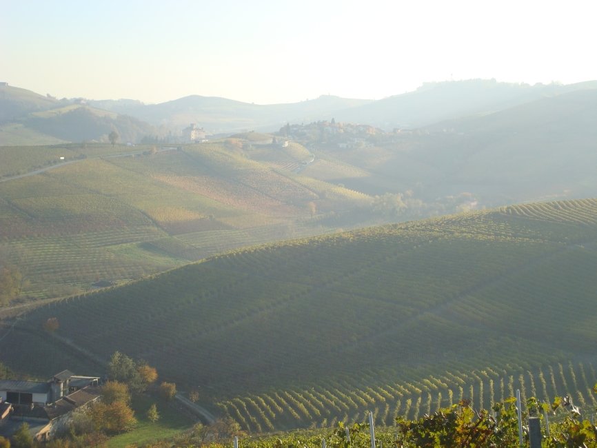 barolo07dsc02053vinestowardsbarolo.jpg